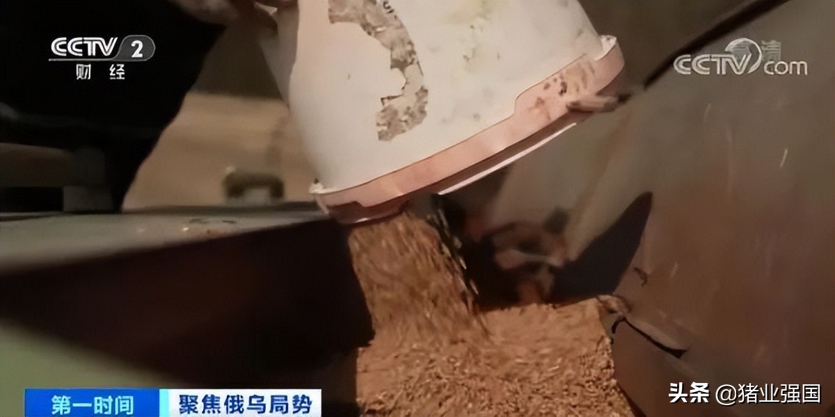 中国饲料工业信息网豆粕今天价格,今日豆粕饲料行情