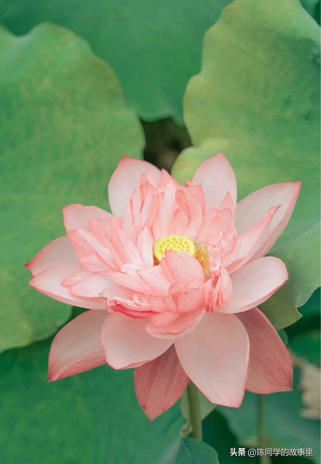 福建霞浦最美的海滩在哪里,霞浦值得去的海滩