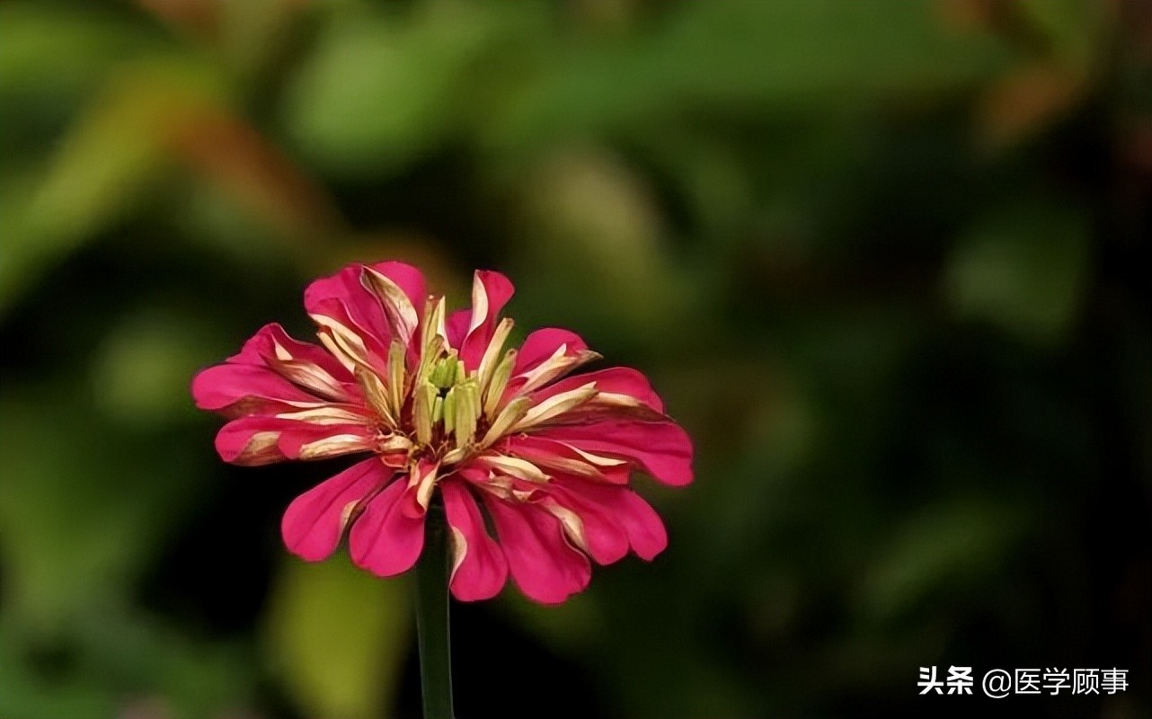 汉朝的气候变迁与王朝兴衰,气候变迁与王朝兴衰书籍