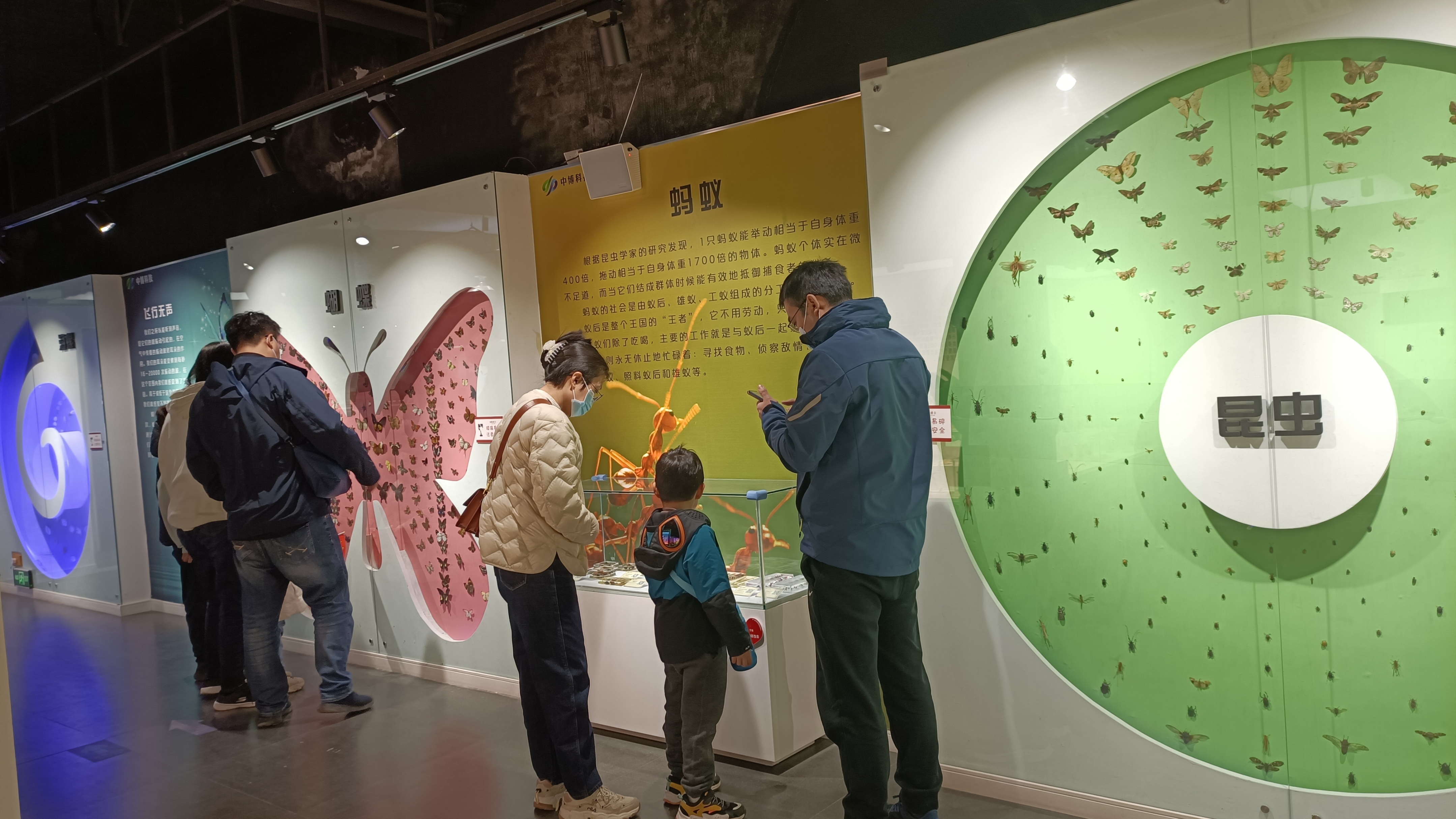 郑州冬季周末遛娃好去处,郑州遛娃好去处排行榜