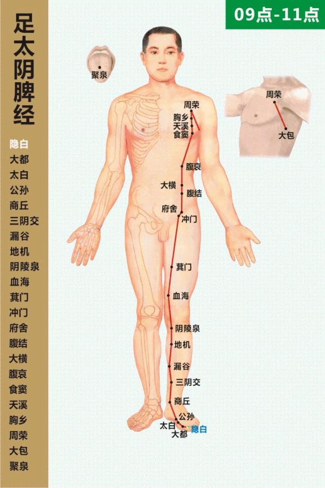 针灸90个穴位主治功能及图解,最好的针灸睡眠穴位图解