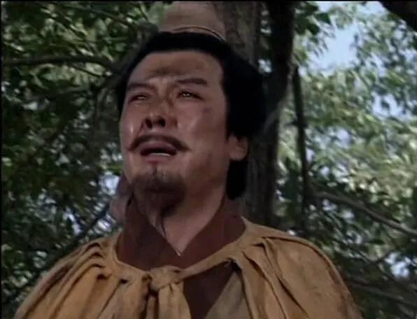 在世界杯的历史上仅有三支足球队,世界杯历史上最强的足球队