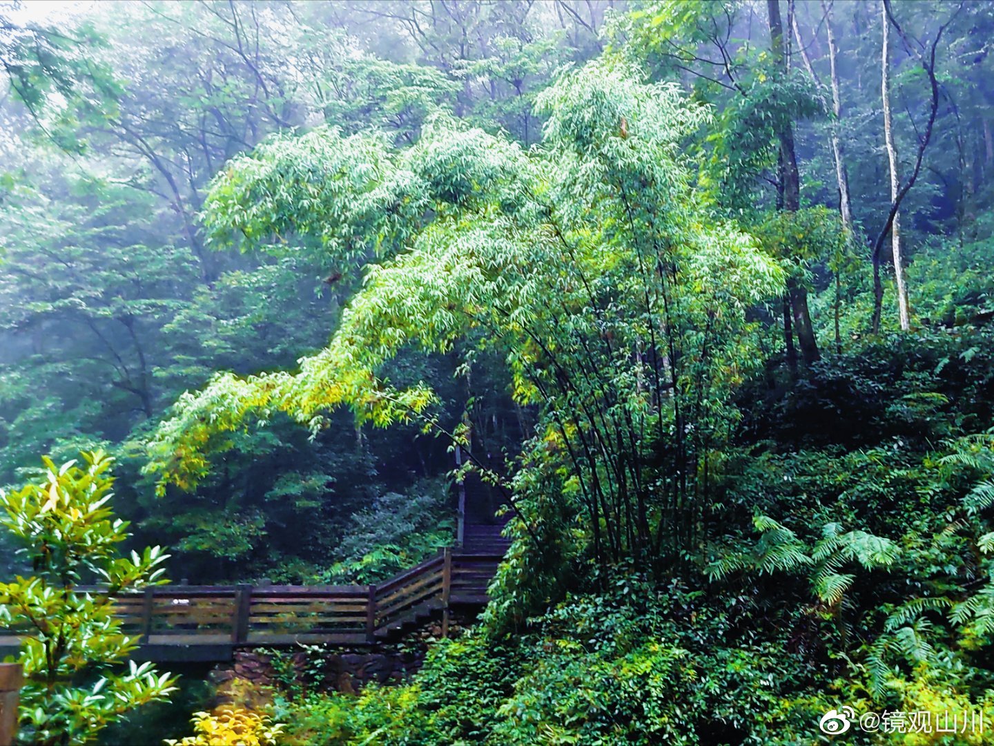 青城山夏季避暑两日游,青城山游玩攻略夏季