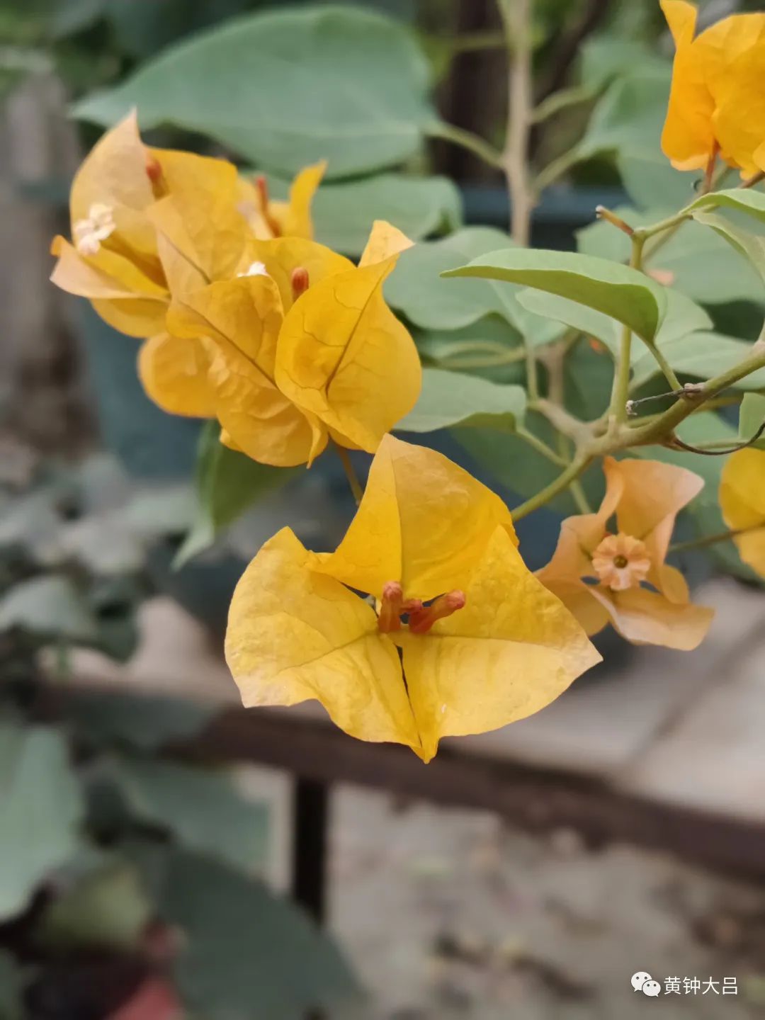 2011年台湾自由行随记之六,2015台湾自由行游记