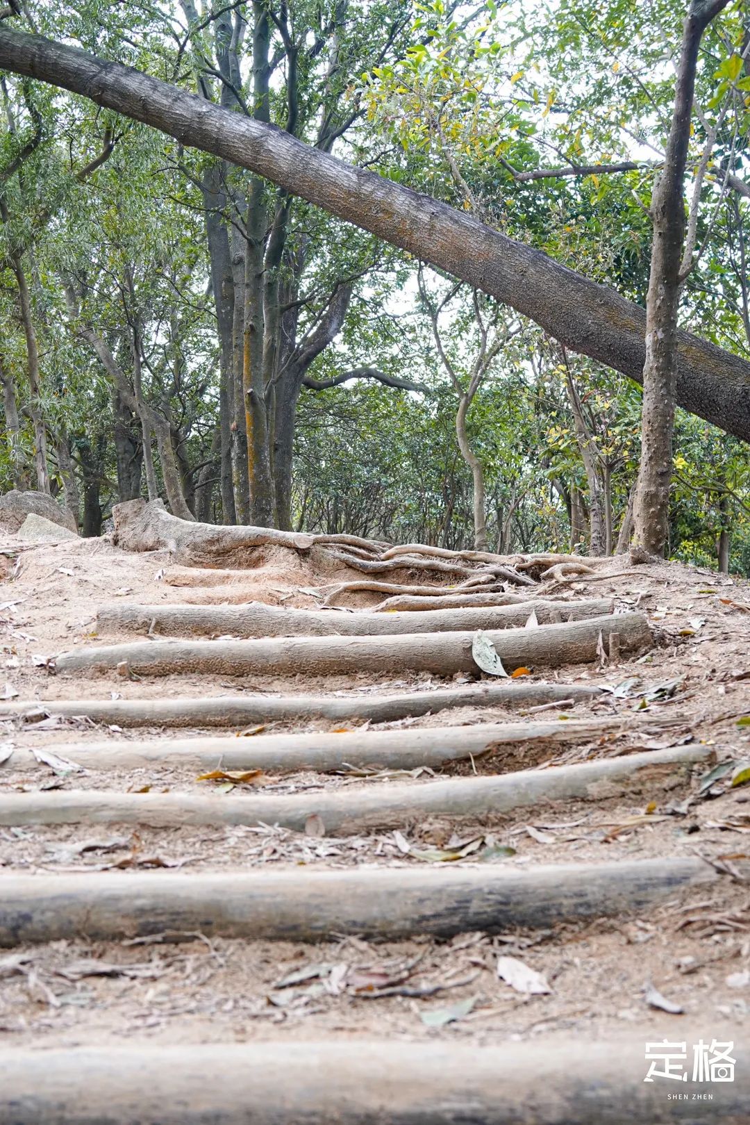 深圳小众打卡景点龙岗,2022深圳10个小众打卡地免费游玩