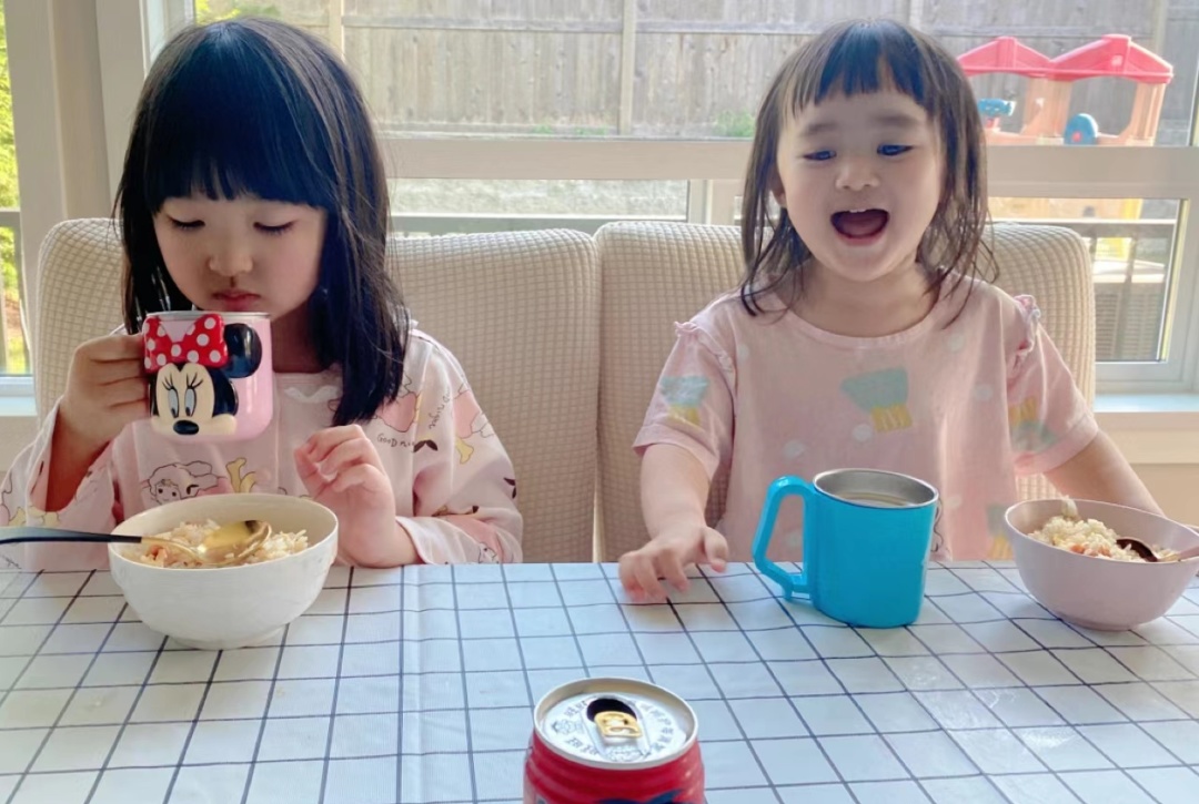 85后Lisa在加拿大：和老公打拼10年，生3娃买3套房，送两娃上私校