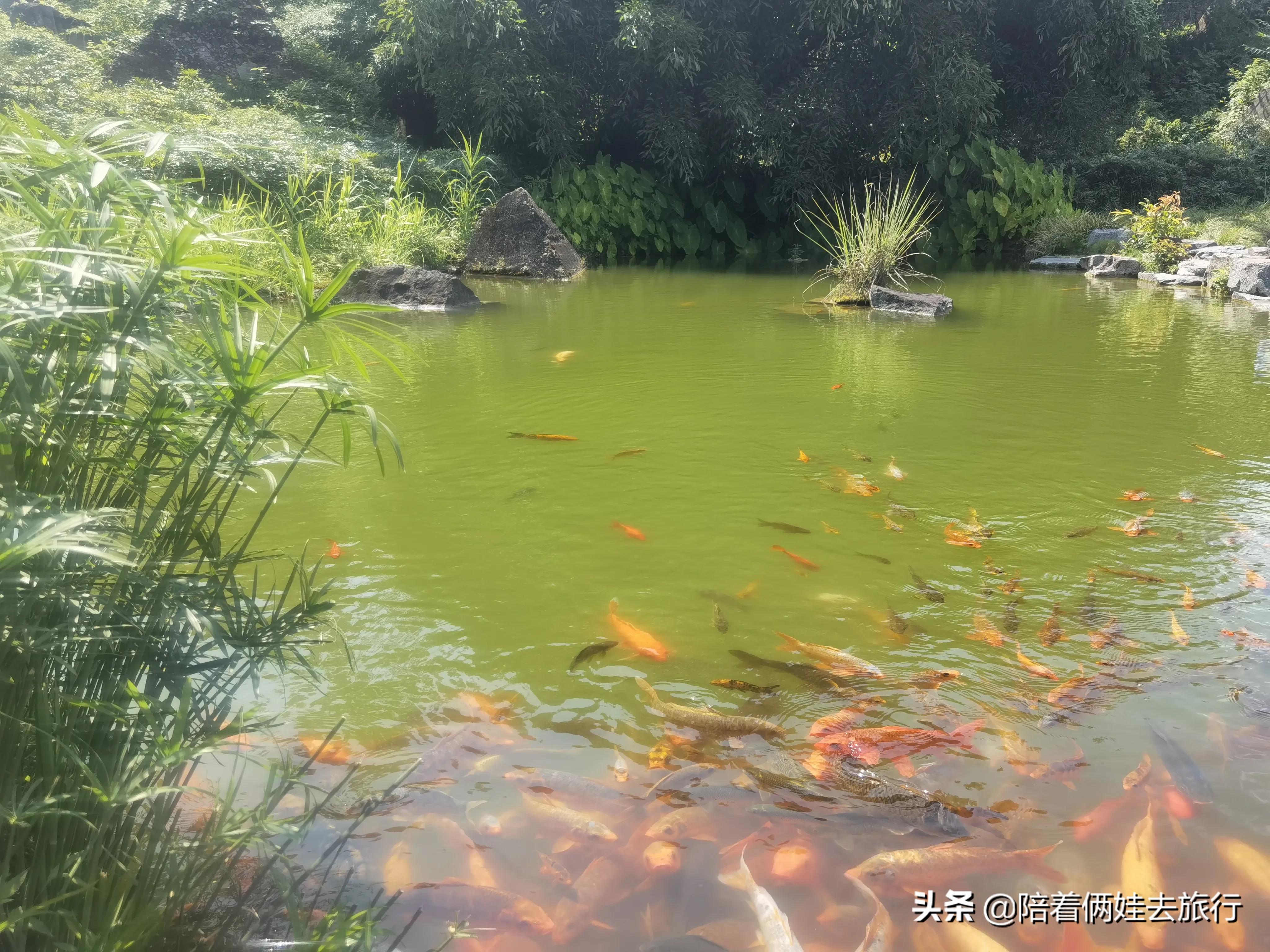 宜昌出发带娃三天两夜攻略,宜昌带孩子两天两夜适合去哪里玩