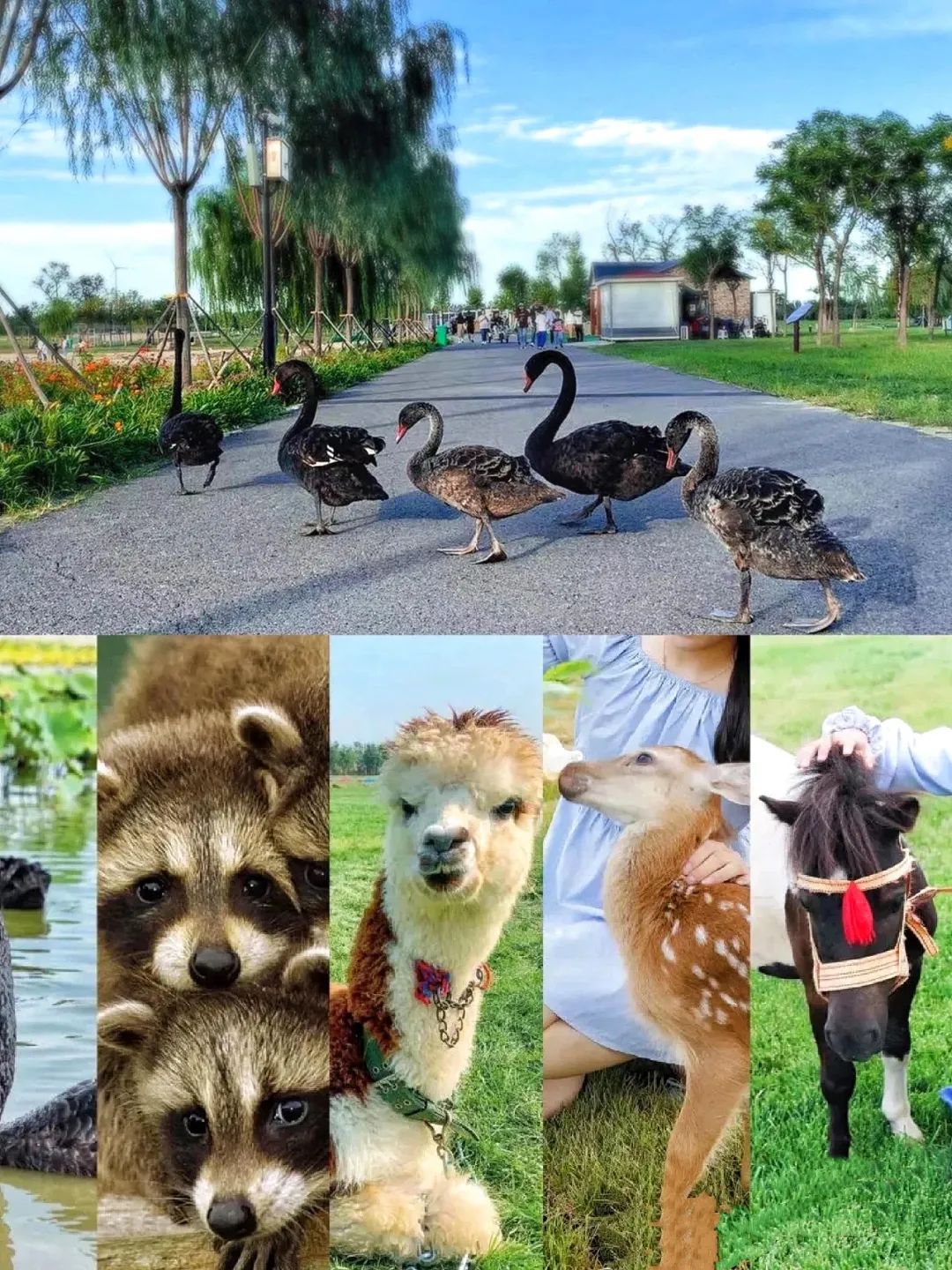 天津最好露营地推荐,天津南堤露营地推荐过夜