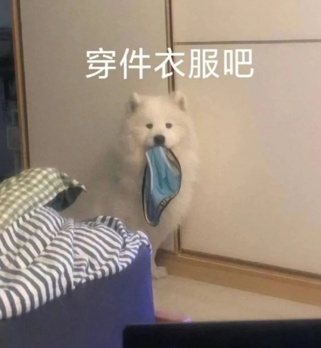 体育生男朋友都做什么,体育生男友是怎样的