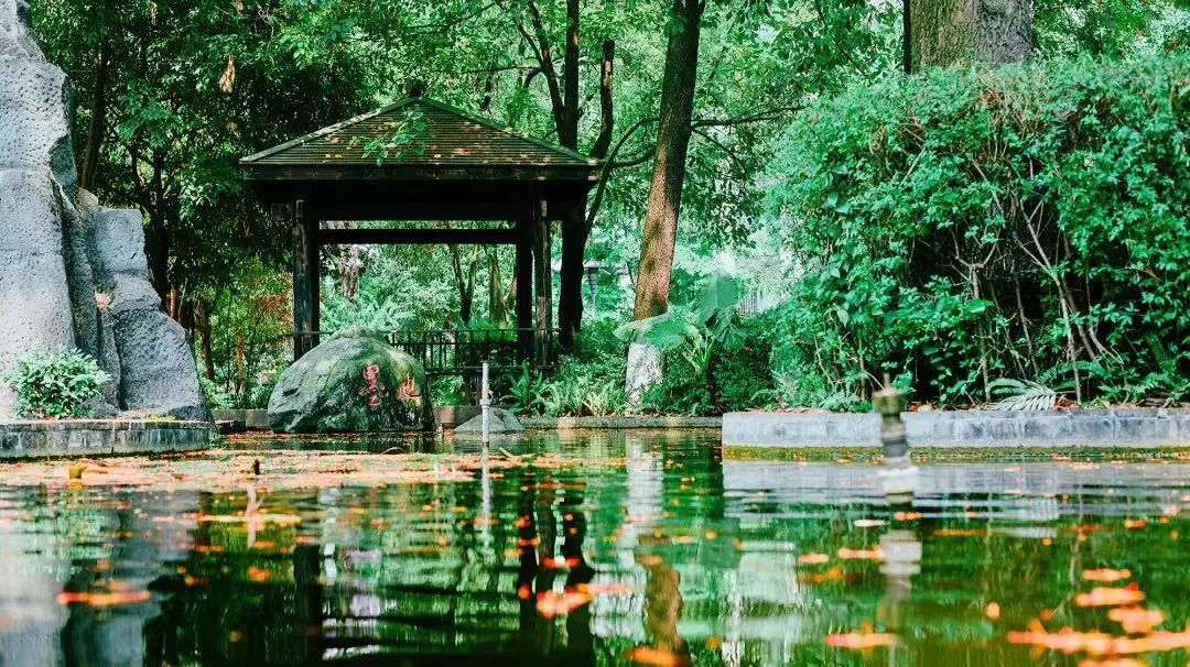 成都七中领办武侯新城,成都七中排名一览表