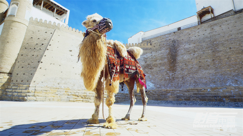 jvcn118投影仪评测,jvcn118投影机参数