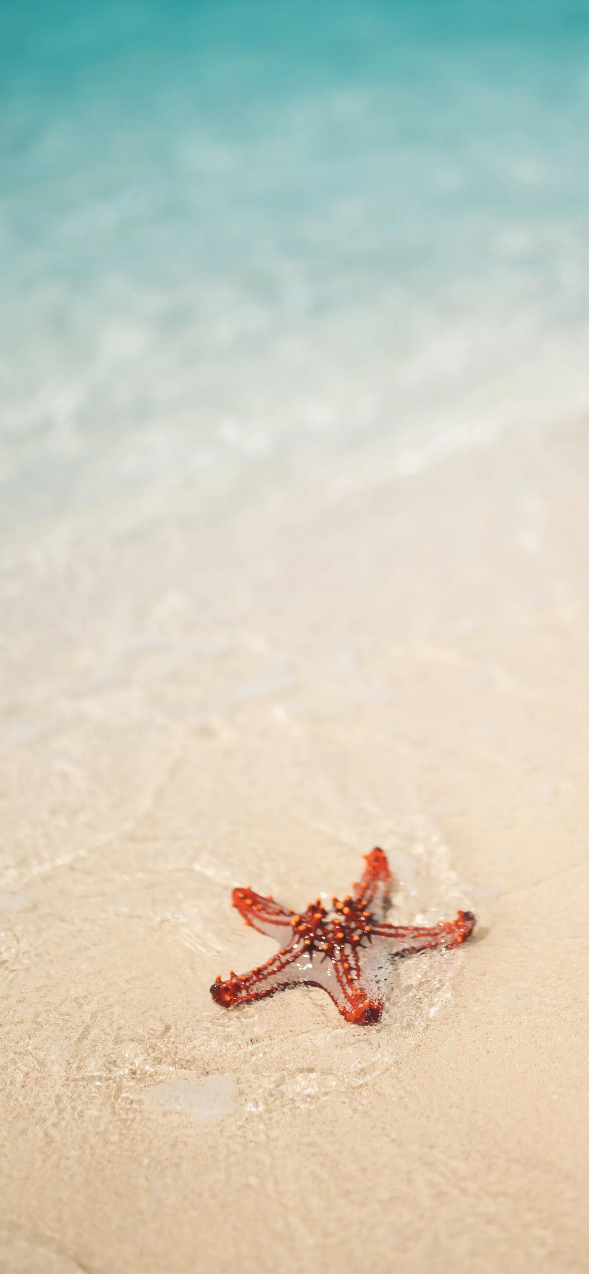 海洋岛屿壁纸高清全屏,海浪沙滩壁纸全屏高清