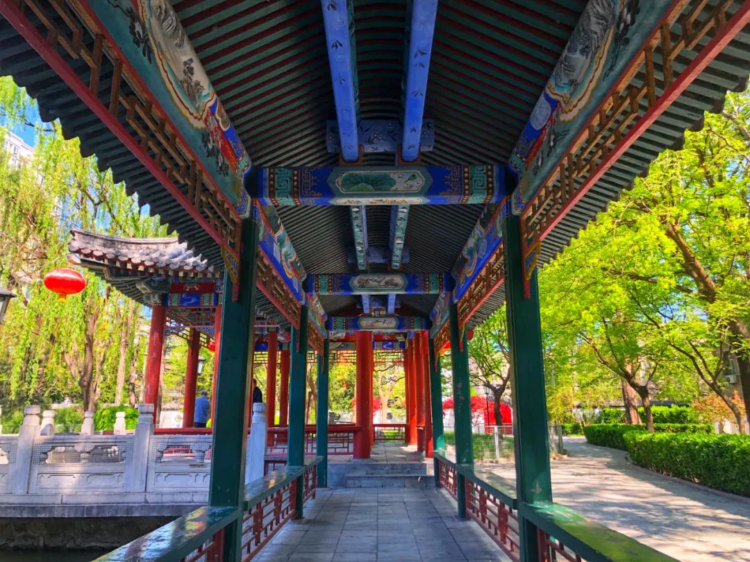 美丽的人民日报大院，我们温暖的家