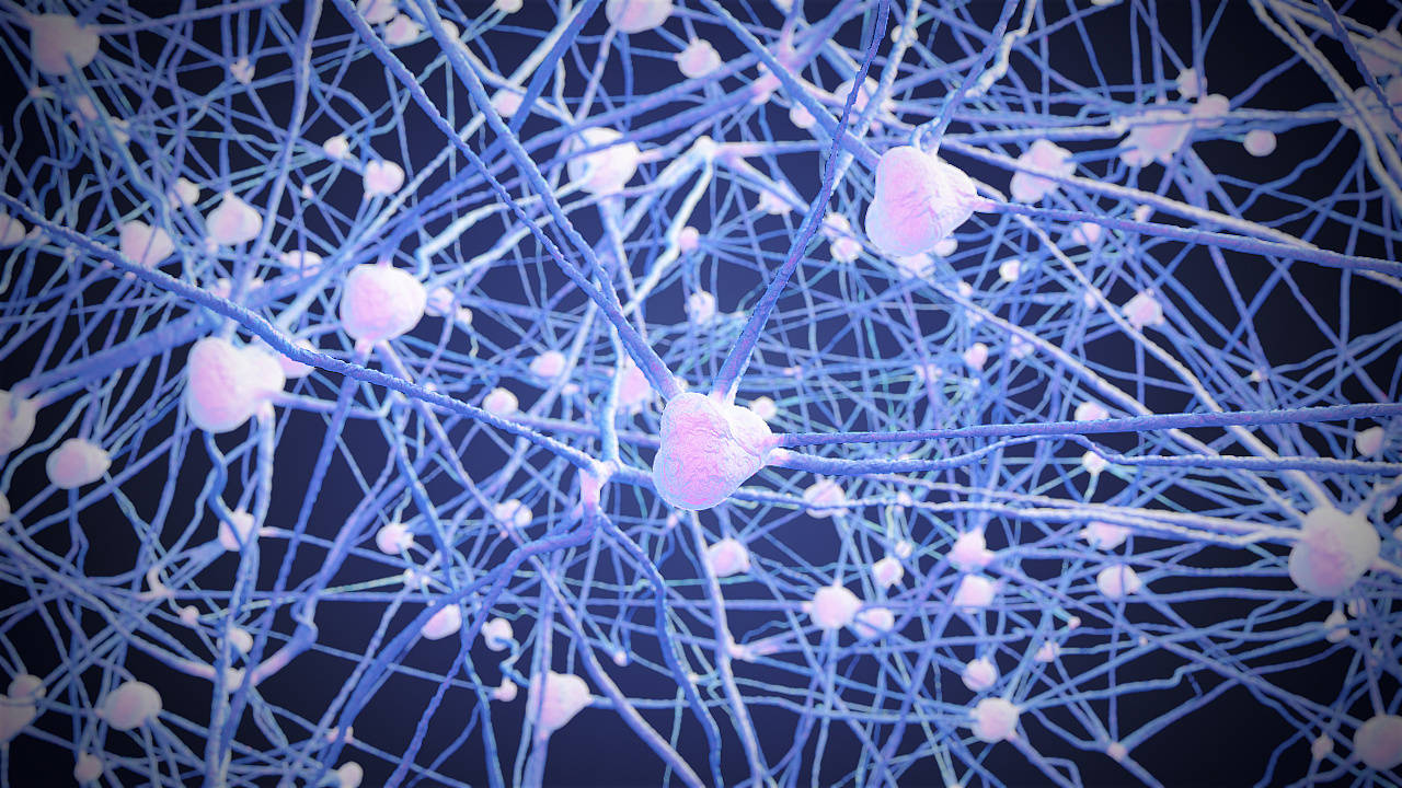 糖尿病肾病气阴两虚型食疗药膳,糖尿病肾病引起腹泻用什么中成药