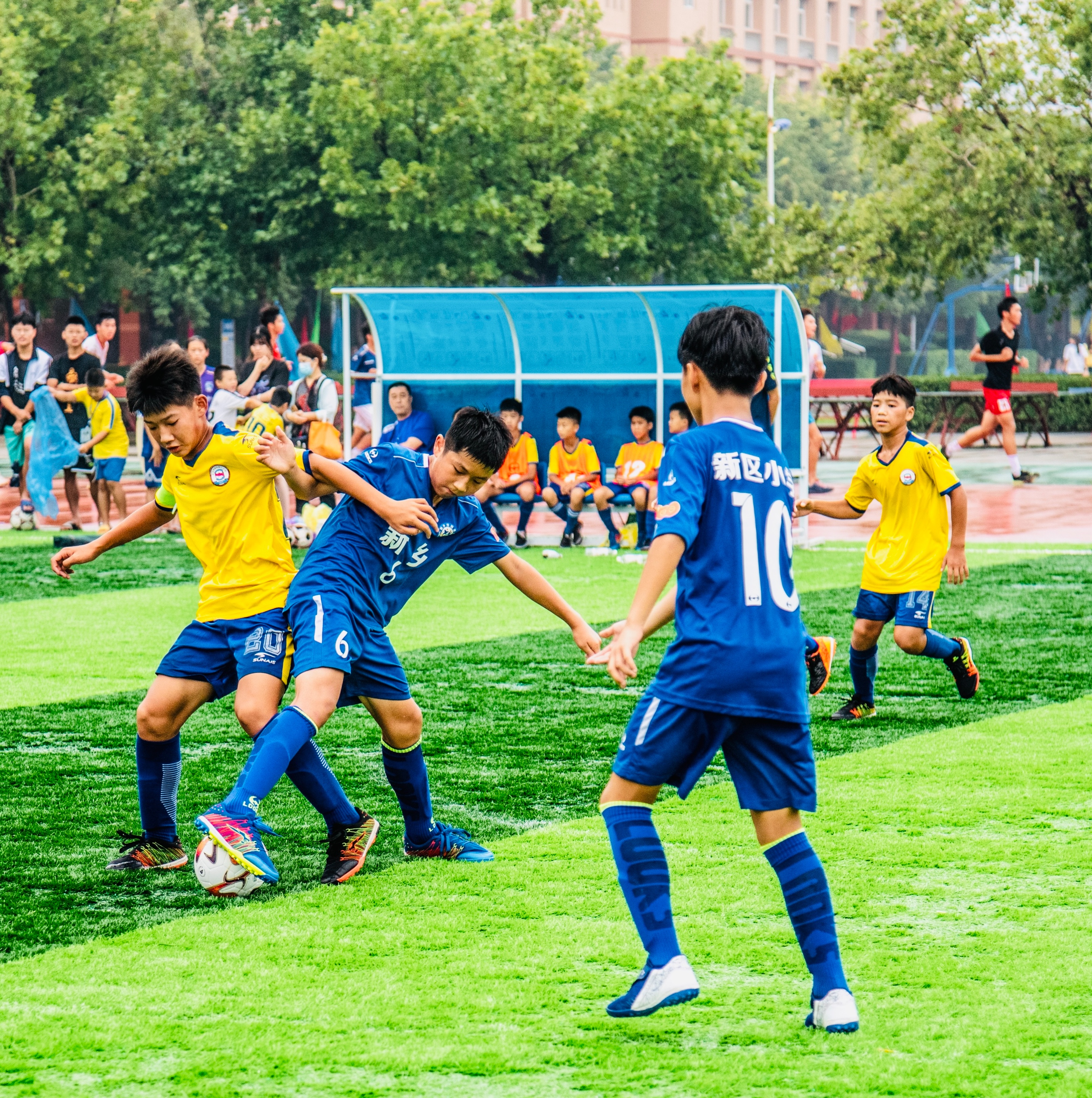 新乡市市长杯青少年校园足球联赛,新乡校园足球省长杯