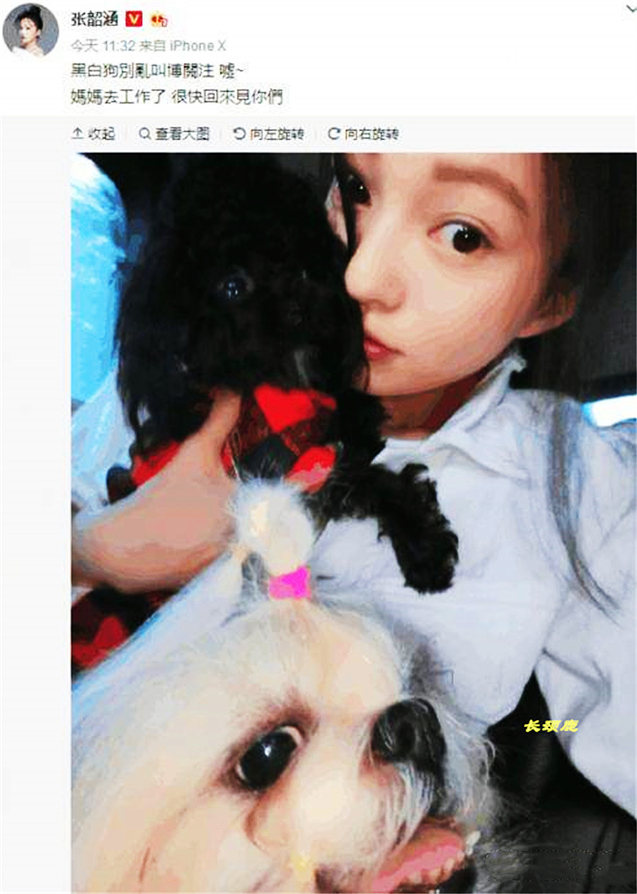 陈建州范玮琪什么情况,陈建州范玮琪最近消息