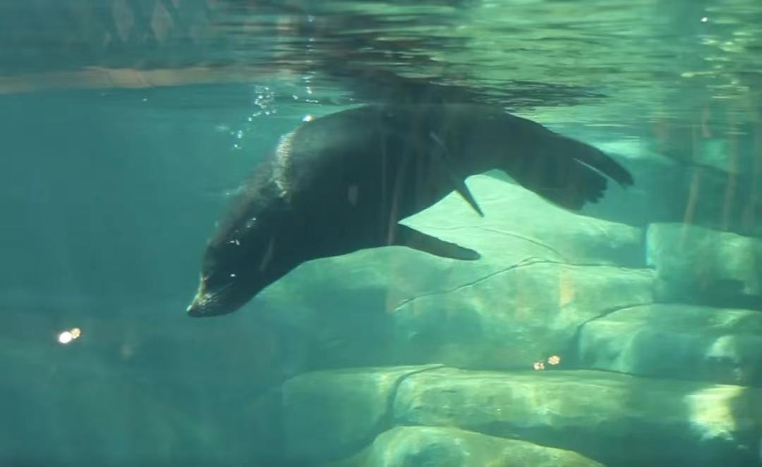 西安炎炎夏日游玩攻略,西安避暑纳凉好去处都市快报