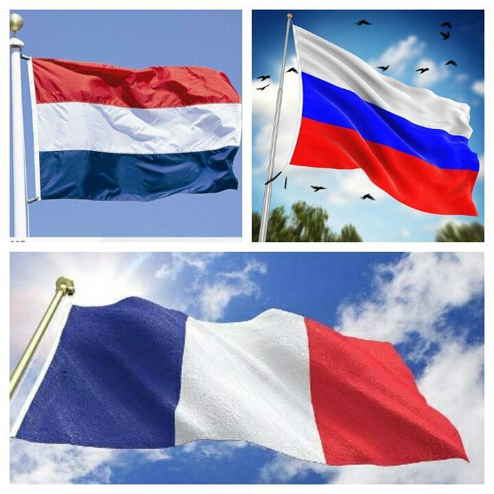 说出来你可能不信动画,冬奥会限定皮肤