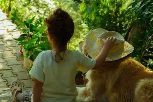 被狗咬了怎么一招制敌,无敌反击结局