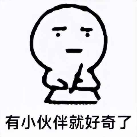 几个月的地图龟吃什么食物最好,地图龟没有龟粮吃什么