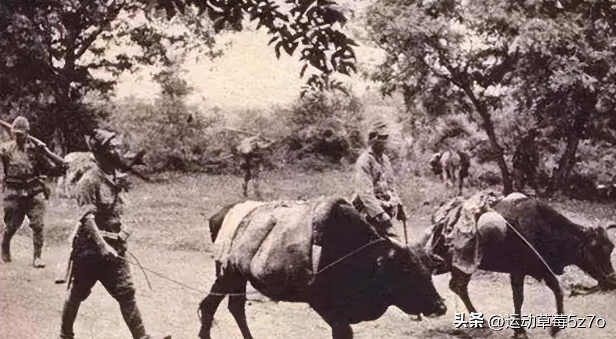 日军兽行：当着男人的面玷污了女儿，临走还残忍割下妻子乳房