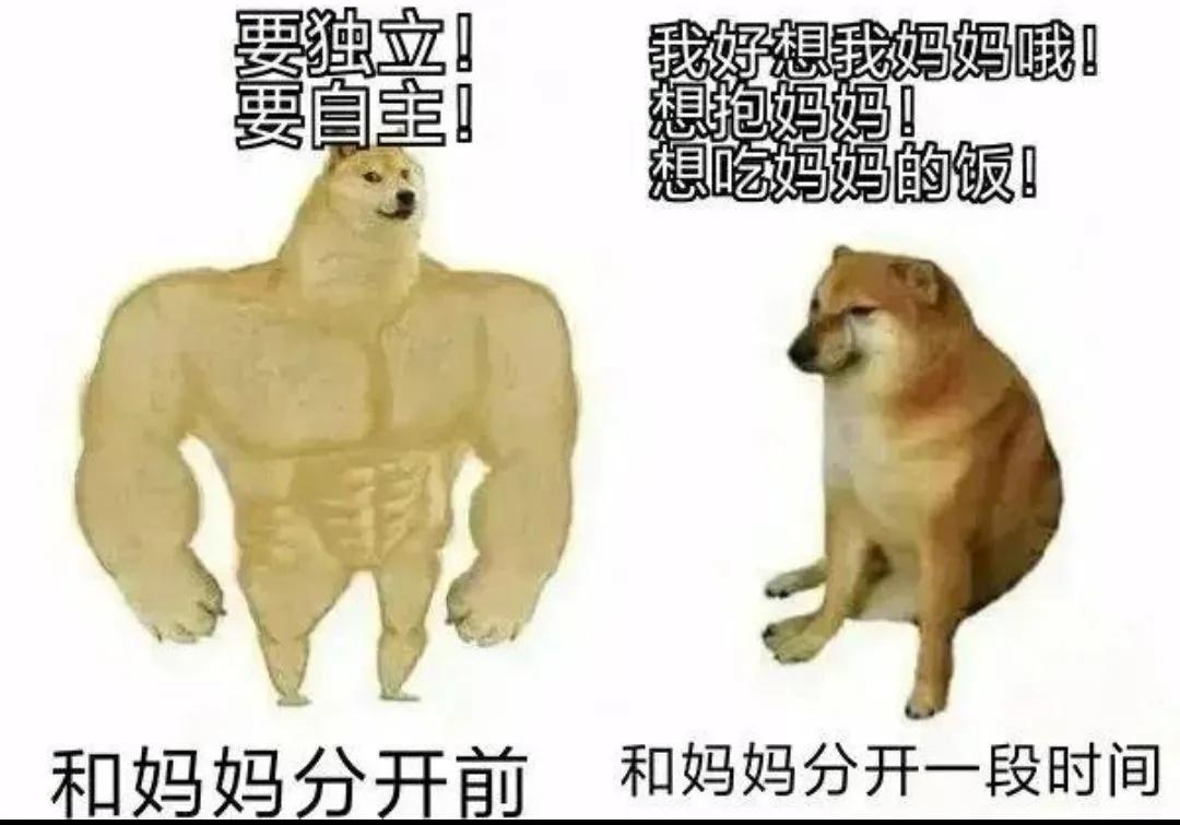 人间最真实搞笑的图片,搞笑图片人间真实系列