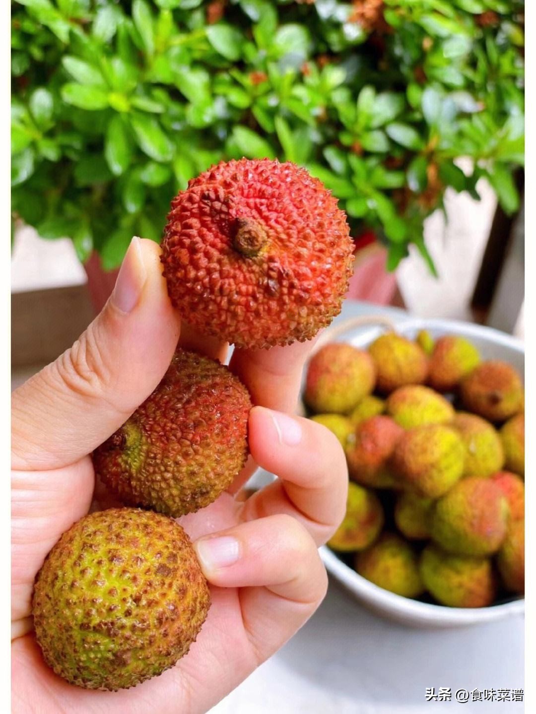 妃子笑是荔枝最好吃的品种吗,妃子笑荔枝有几种品种