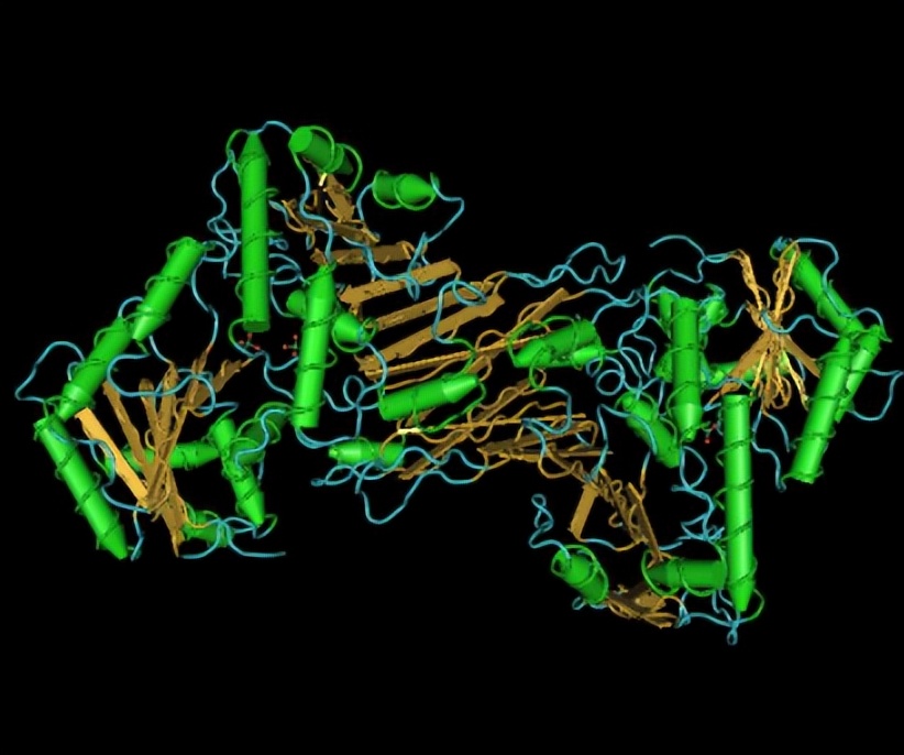 使用通过开环复分解（romp）途径衍生的抗菌聚合物检测细菌