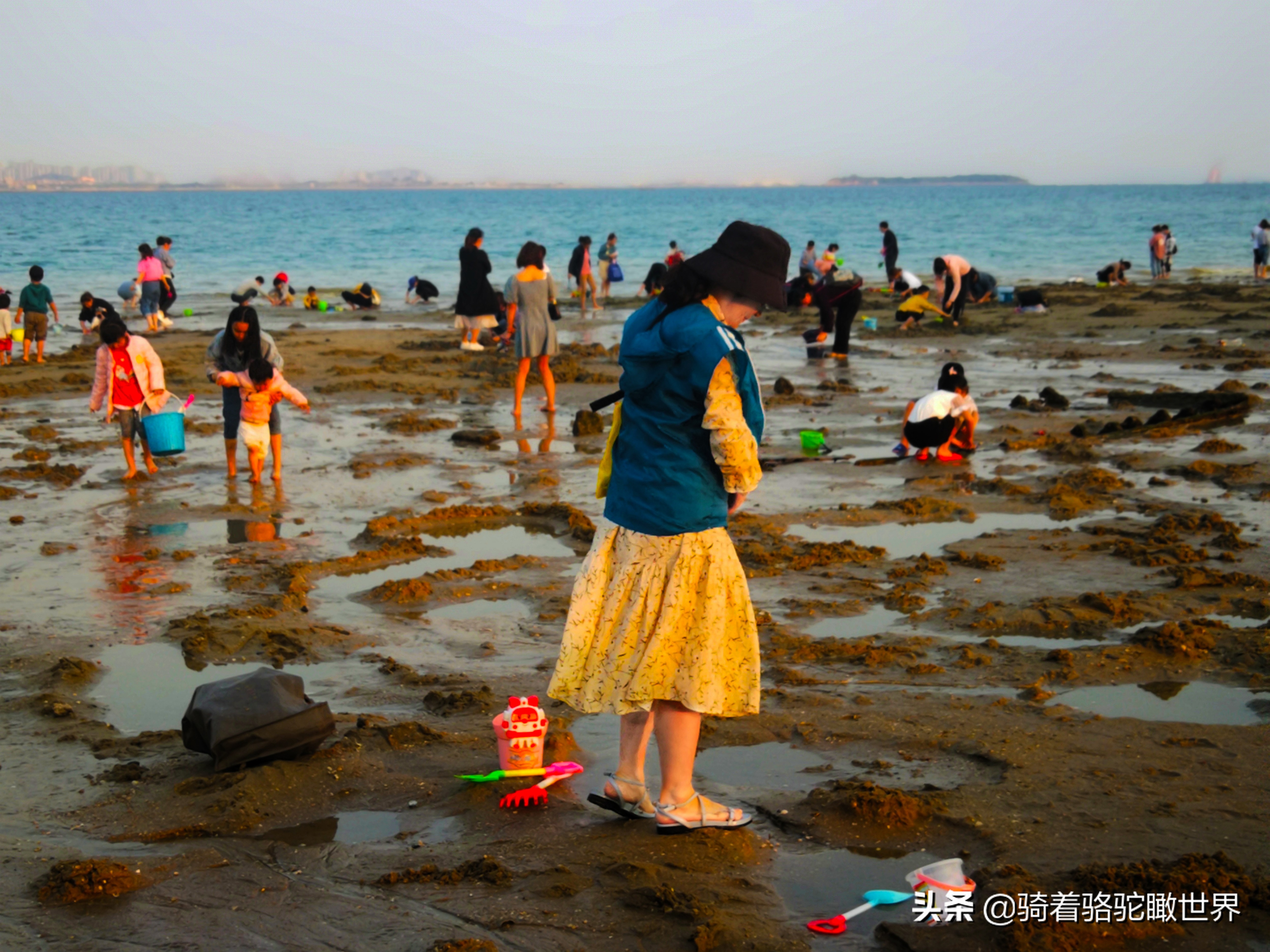 厦门彩虹沙滩赶海地方推荐,厦门鼓浪屿和彩虹沙滩
