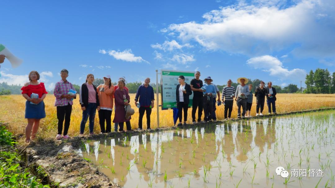 乡村振兴雨露计划典型案例,乡村振兴对口帮扶工作方案