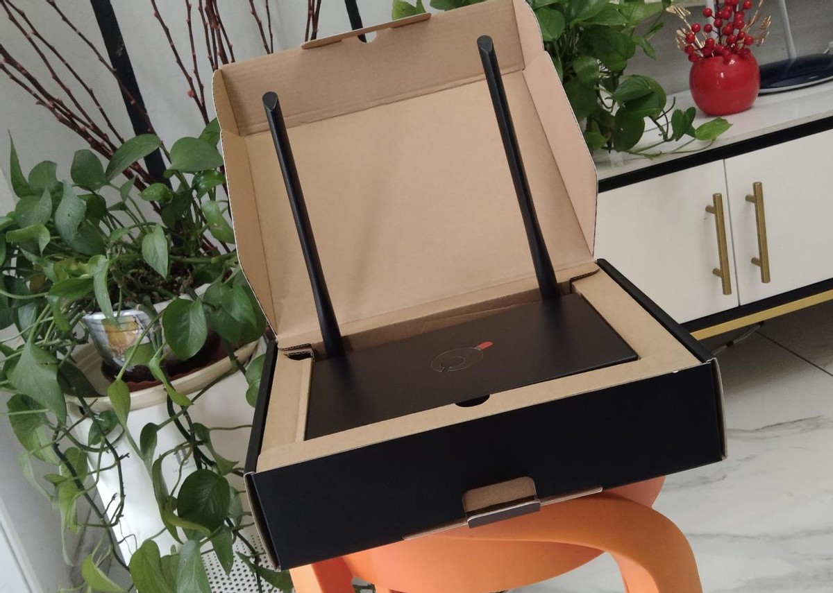 使用蒲公英x3a如何远程访问nas,插上u盘就是win系统