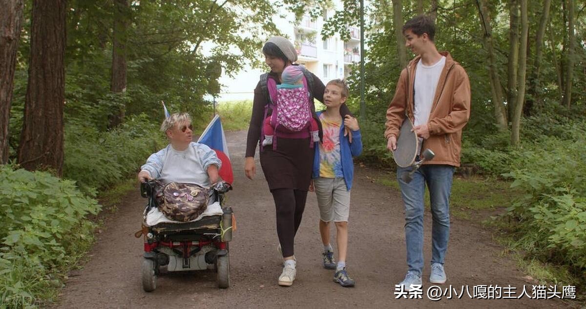 老年人电动轮椅哪个牌子好,老年人使用电动轮椅的安全性研究