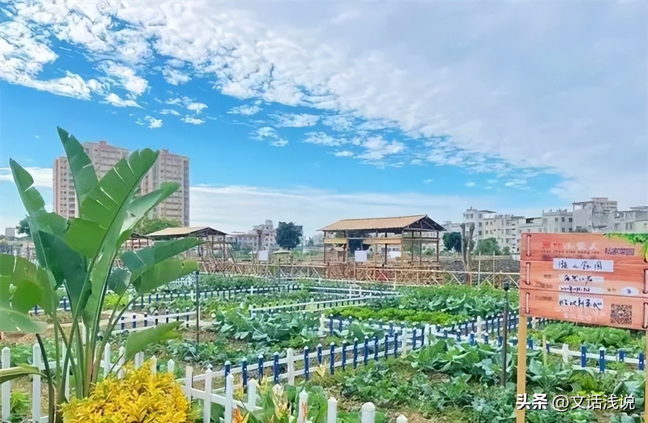 他们是“包地创业”的年轻人，有人年赚百万，有人5个月就逃离