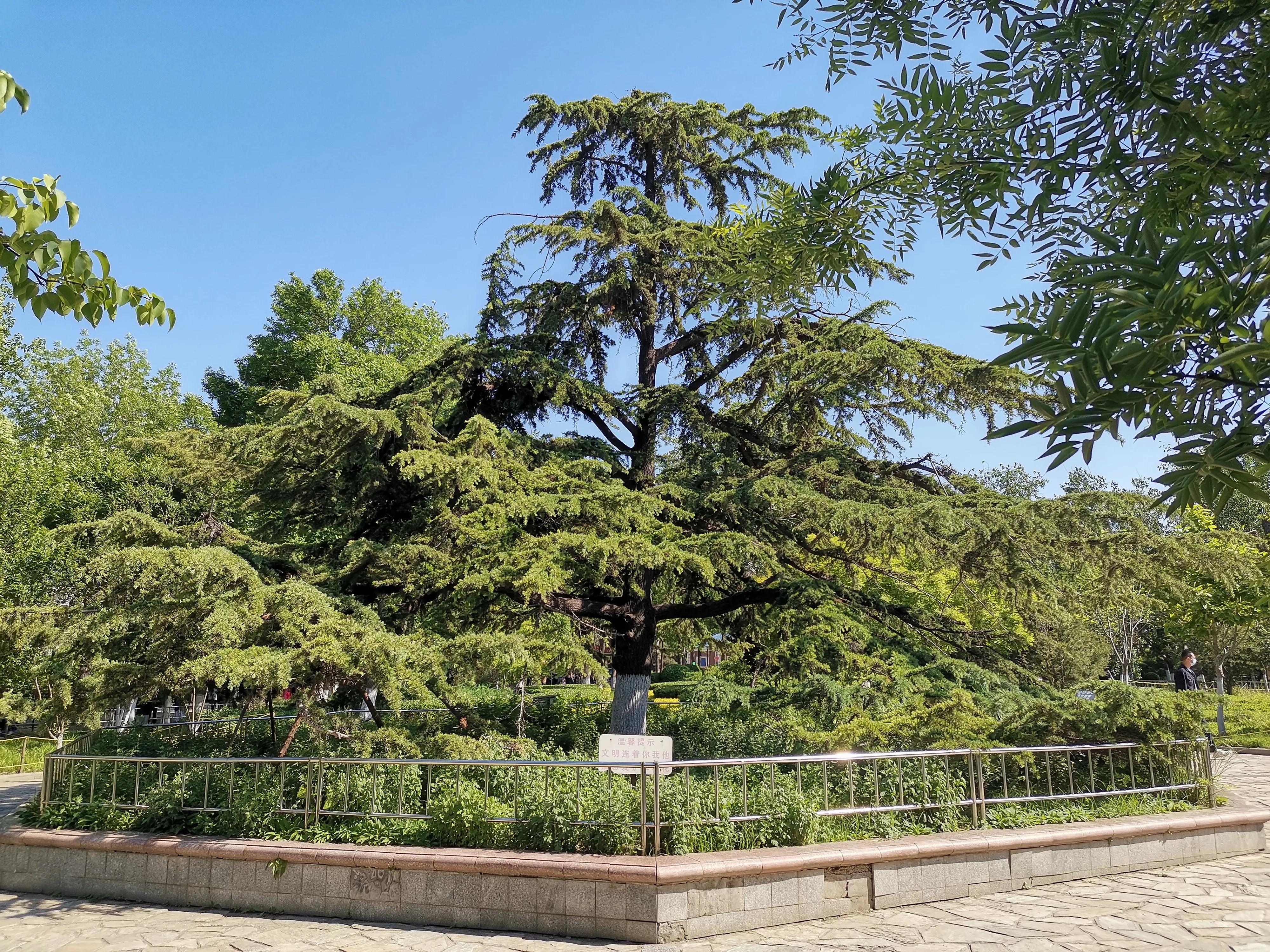 王串场公园有什么,王串场公园地图