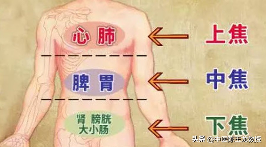 腹部凸出瘦肚子,腹部脂肪减1毫米
