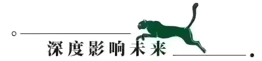 金融街电讯深度观察杜猛,金融街电讯杜猛完整版