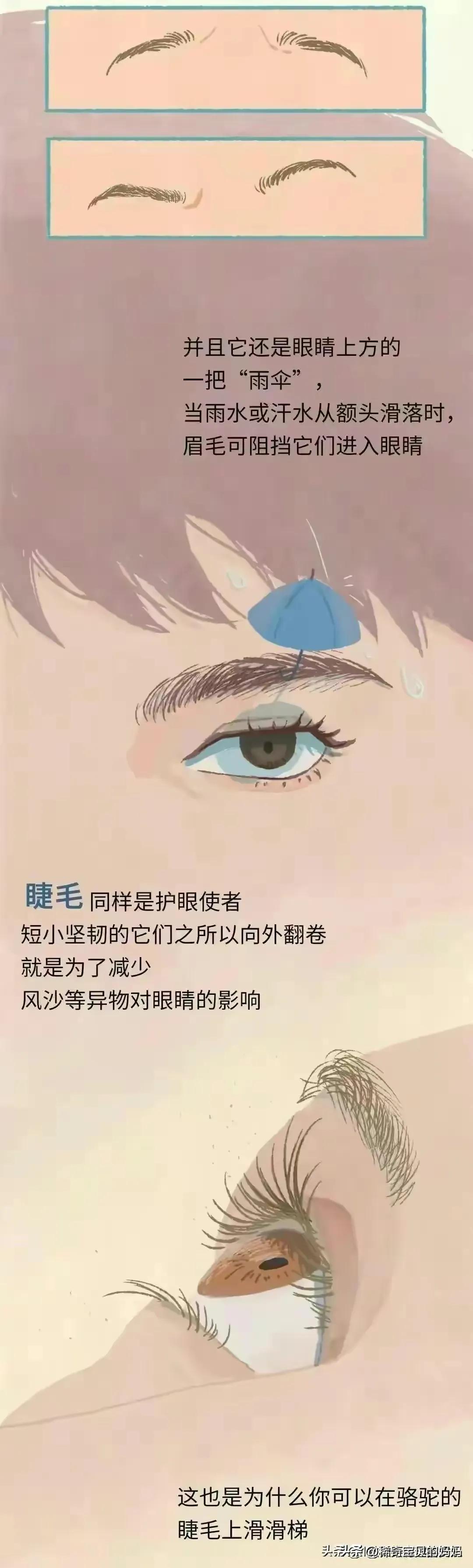 人类的毛发都是黑色的吗,人类体毛是为了什么存在的