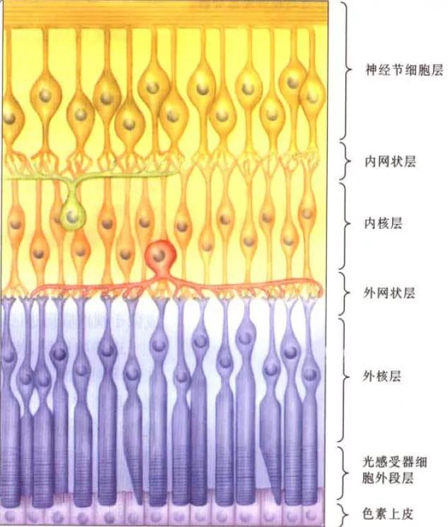 各类视力错觉,十种非常诡异的视错觉