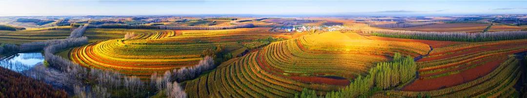 拜登支持催生新产业,黑龙江省拜泉县发展规划