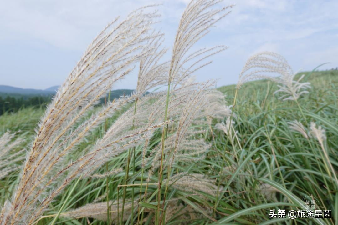 韩国|九月初的济州岛，时有风，偶有雨