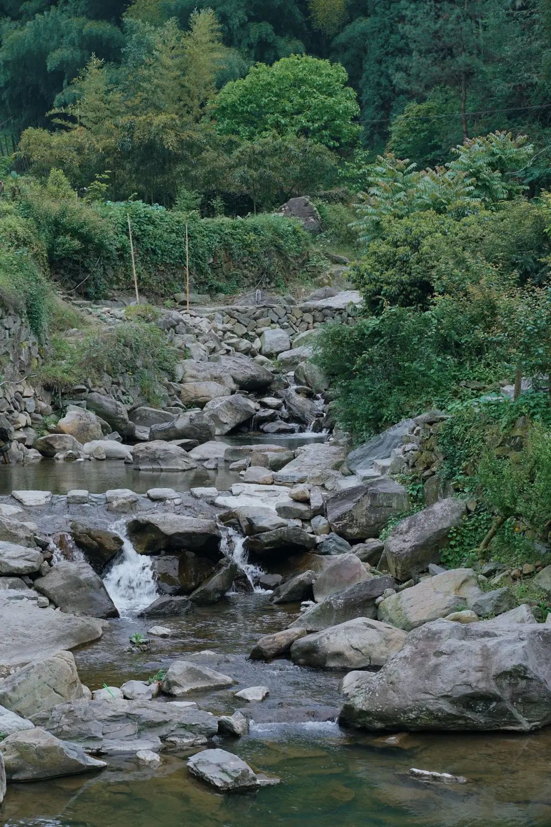 被《风味人间》疯狂种草的小城!1.5h直达!凭一个饼就征服世界