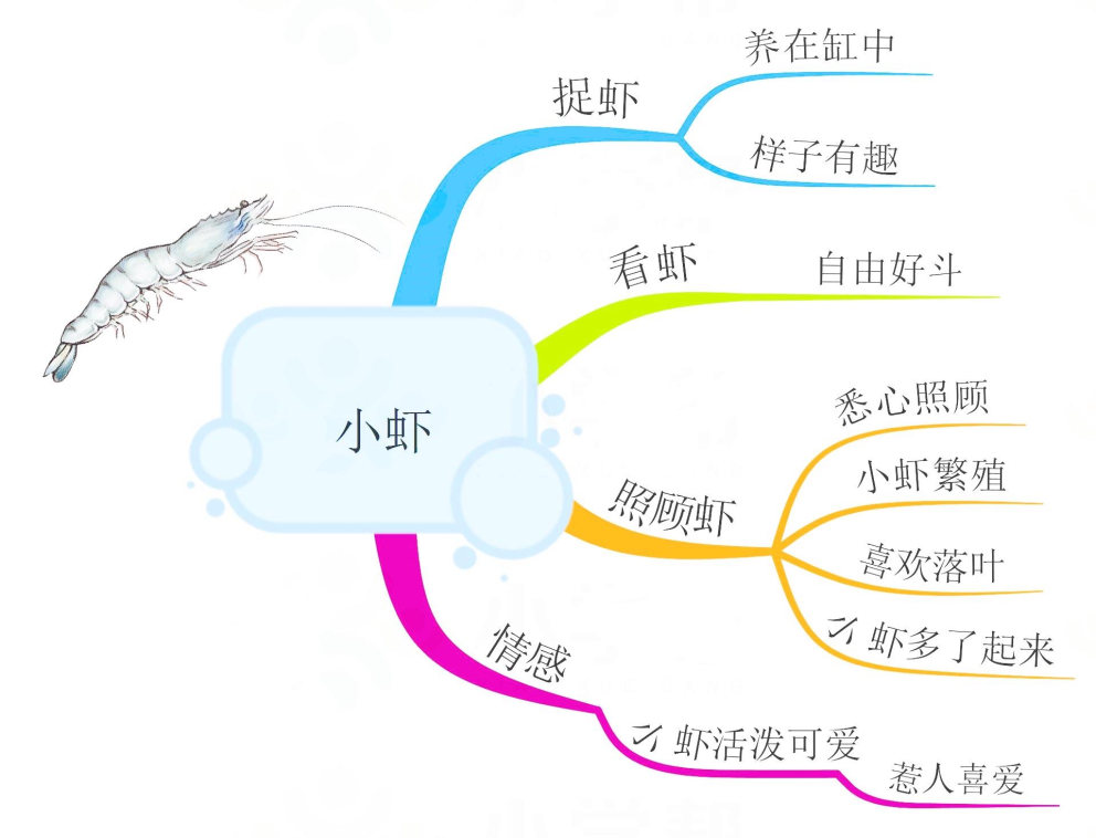 三年级语文大自然的声音思维导图,三年级上册语文整本书的思维导图