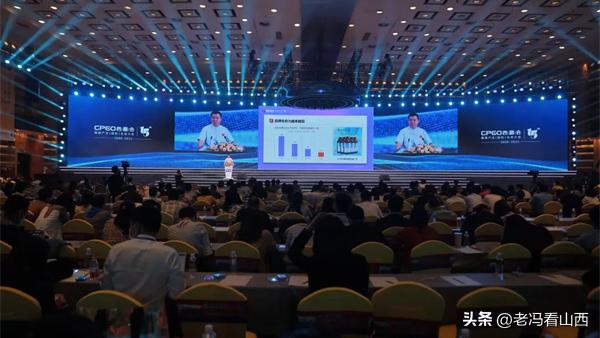 振东健康产业集团,山东振东健康产业集团有限公司