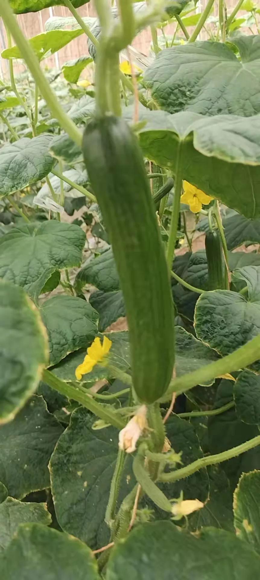 疫情过后哪个职业最赚钱,疫情结束后的赚钱职业