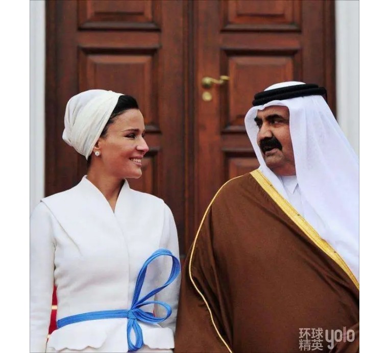 卡塔尔新任埃米尔塔米姆,卡塔尔埃米尔塔米姆资料