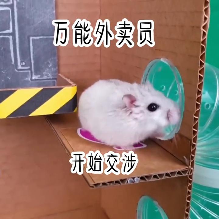 点赞量高书单,关注点赞每日更新小说