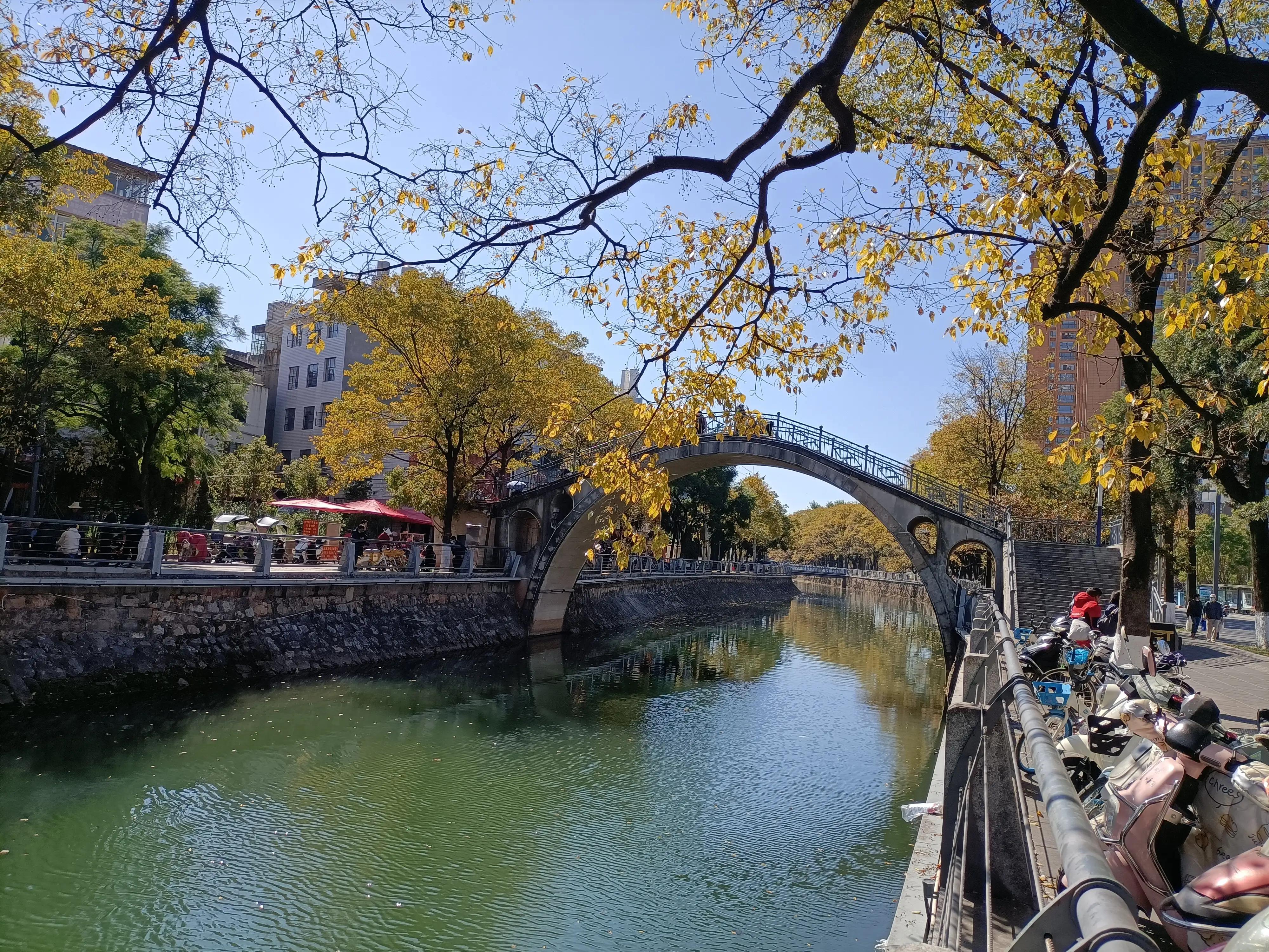 冬日的昆明美如春,这才是昆明四季如春的样子