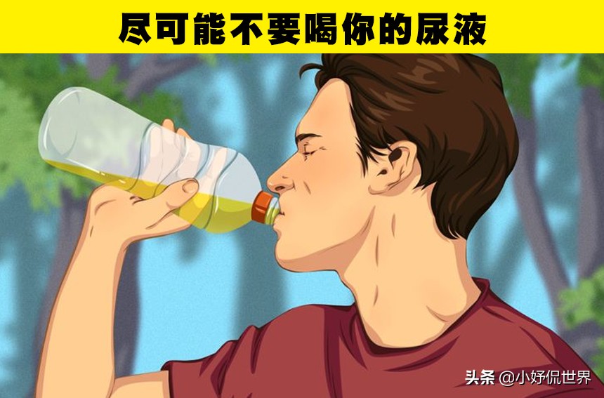 假如在野外迷了路你该怎么办,要是在野外迷了路怎样才能回家