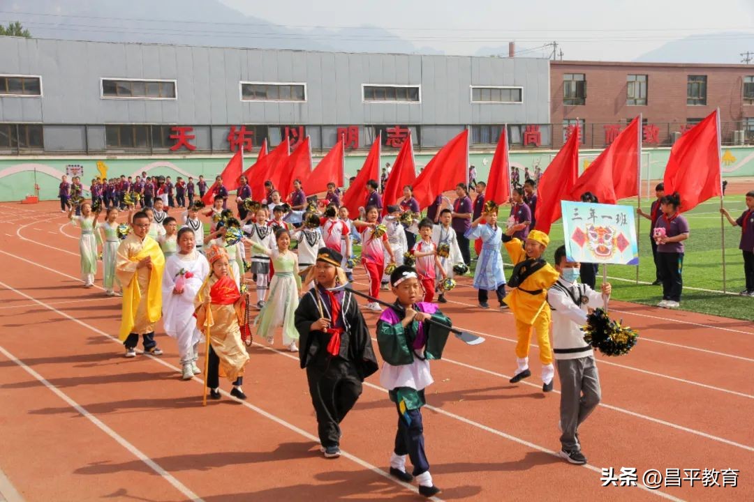 校园竞技,校园赛场青春激扬活力四射