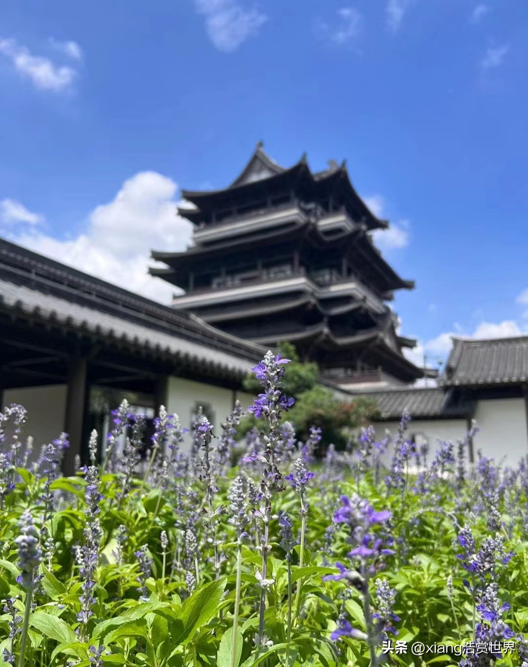 广州最新景点仿古建筑图片,广州新地标古代建筑